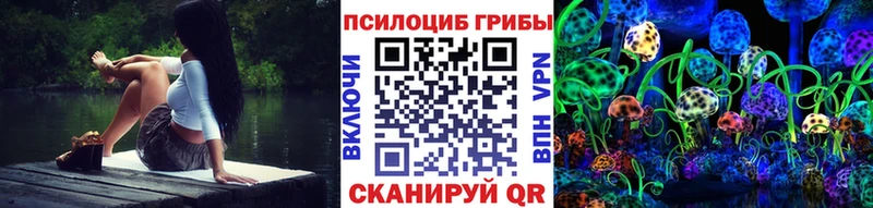 Псилоцибиновые грибы Cubensis  закладка  Качканар 